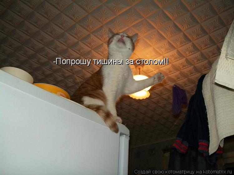 Котоматрица: -Попрошу тишины за столом!!