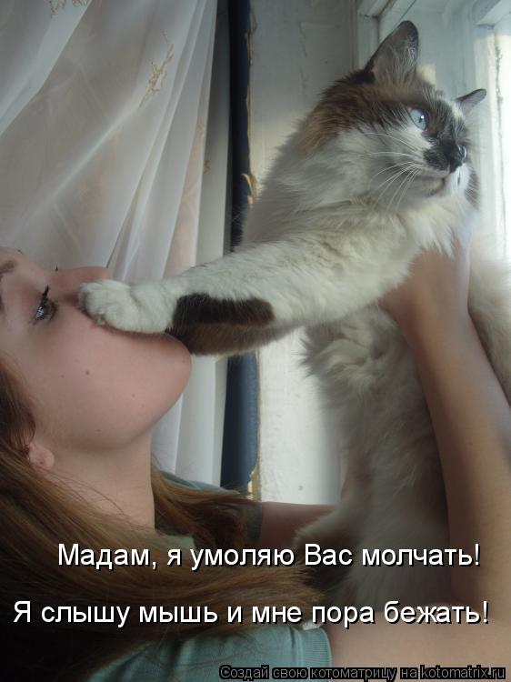 Котоматрица: Мадам, я умоляю Вас молчать! Я слышу мышь и мне пора бежать!