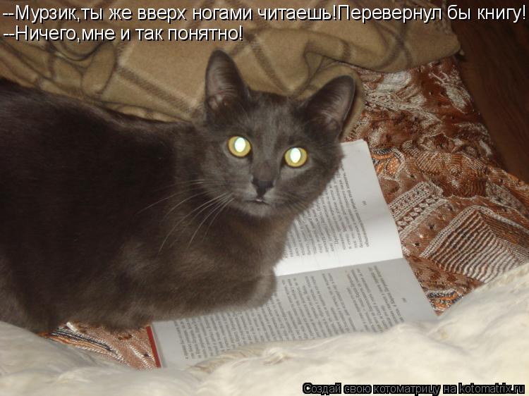Котоматрица: --Мурзик,ты же вверх ногами читаешь!Перевернул бы книгу! --Ничего,мне и так понятно!