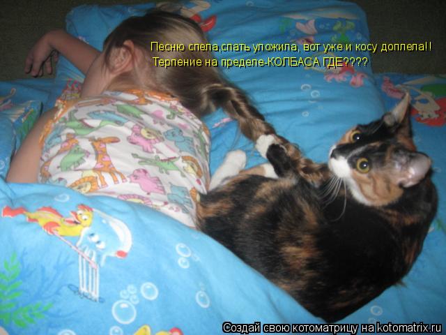 Котоматрица: Песню спела,спать уложила, вот уже и косу доплела!! Терпение на пределе-КОЛБАСА ГДЕ????