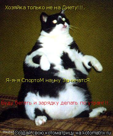 Котоматрица: Хозяйка только не на Диету!!!™  Я-я-я СпортоМ начну ЗаниматсЯ™ Буду бегать и зарядку делать по утрам!!!™