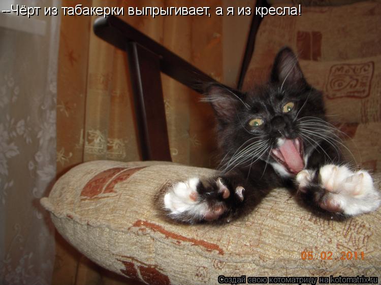 Котоматрица: --Чёрт из табакерки выпрыгивает, а я из кресла!