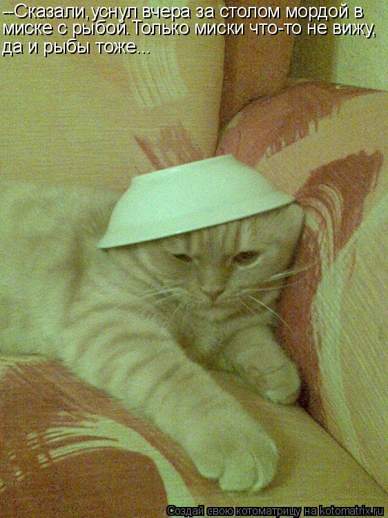 Котоматрица: --Сказали,уснул вчера за столом мордой в  миске с рыбой.Только миски что-то не вижу, да и рыбы тоже...