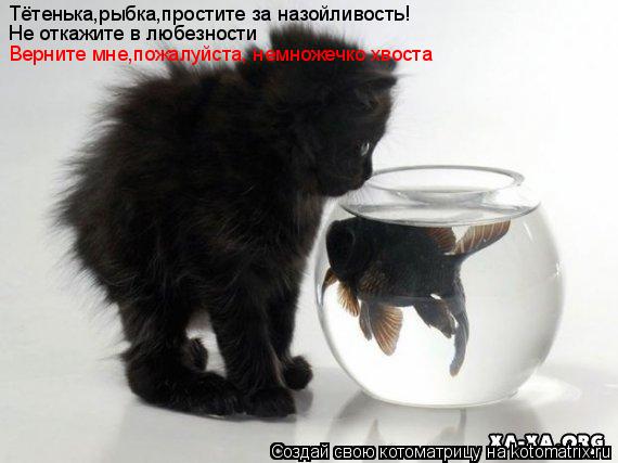 Котоматрица: Не откажите в любезности Верните мне,пожалуйста, немножечко хвоста Тётенька,рыбка,простите за назойливость!