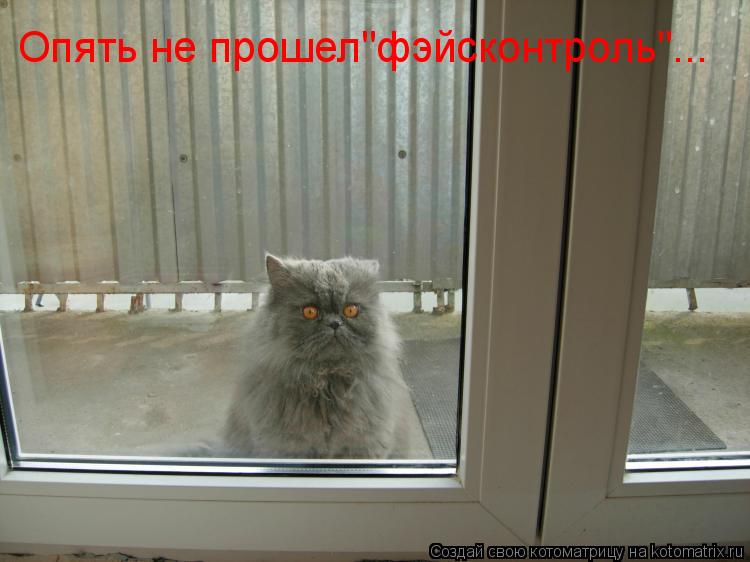 Котоматрица: Опять не прошел"фэйсконтроль"...