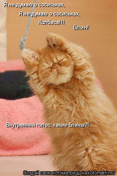 Котоматрица: Я не думаю о сосиськах, Я не думаю о сосиськах, Колбаса!!! Блин! Внутренний голос: какие блины?!