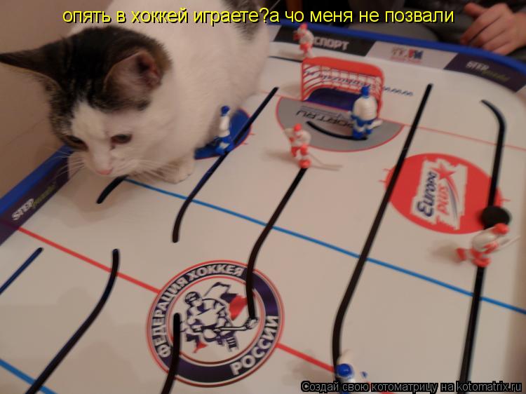 Котоматрица: опять в хоккей играете?а чо меня не позвали