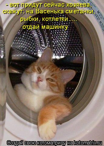 Котоматрица: - вот придут сейчас хозяева, скажут: на Васенька сметанки, рыбки, котлетки..... отдай машинку