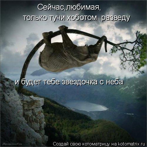 Котоматрица: и будет тебе звездочка с неба  Сейчас,любимая,    только тучи хоботом  разведу