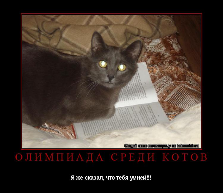 Олимпиада среди котов Я же сказал, что тебя умней!!!... Котоматрица: Олимпиада среди котов Я же сказал, что тебя умней!!!