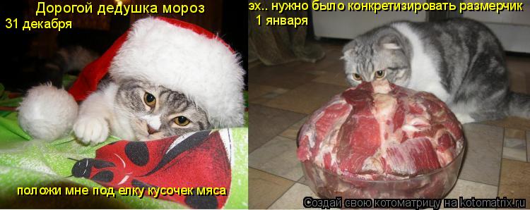 Котоматрица: Дорогой дедушка мороз  положи мне под елку кусочек мяса 31 декабря 1 января эх.. нужно было конкретизировать размерчик
