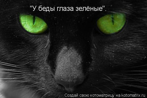 Котоматрица: "У беды глаза зелёные".