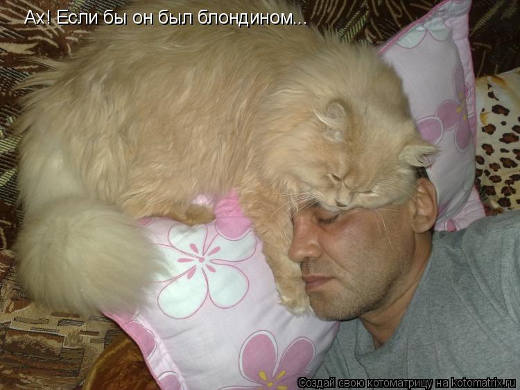 Котоматрица: Ах! Если бы он был блондином...