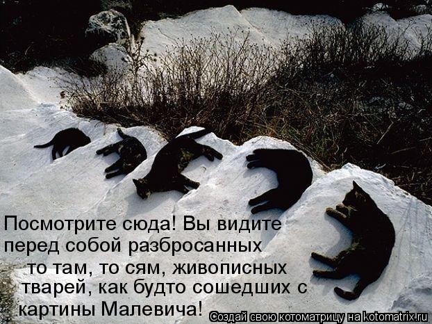Котоматрица: Посмотрите сюда! Вы видите  перед собой разбросанных то там, то сям, живописных тварей, как будто сошедших с картины Малевича!