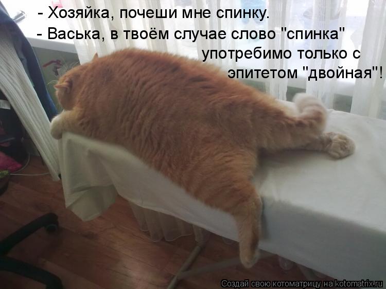 Котоматрица: - Хозяйка, почеши мне спинку.  - Васька, в твоём случае слово "спинка" употребимо только с эпитетом "двойная"!