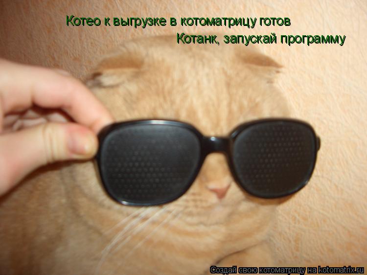 Котоматрица: Котео к выгрузке в котоматрицу готов Котанк, запускай программу