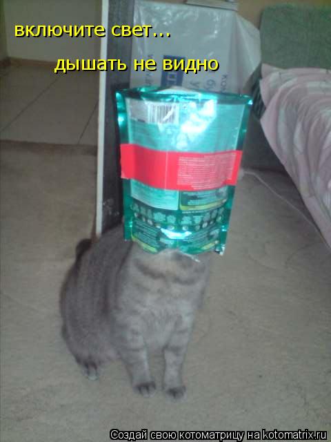 Котоматрица: включите свет... дышать не видно