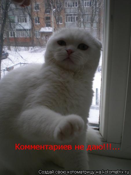 Котоматрица: Комментариев не даю!!!...