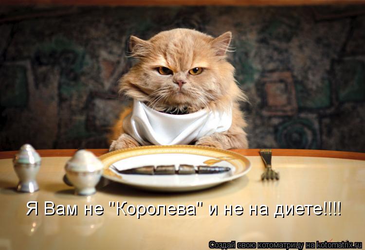 Котоматрица: Я Вам не "Королева" и не на диете!!!!