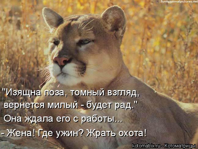 "Изящна поза, томный взгляд, вернется милый - будет рад." Она ждала его с работы... - Жена! Где ужин?... Котоматрица: "Изящна поза, томный взгляд, вернется милый - будет рад." Она ждала его с работы... - Жена! Где ужин? Жрать охота!