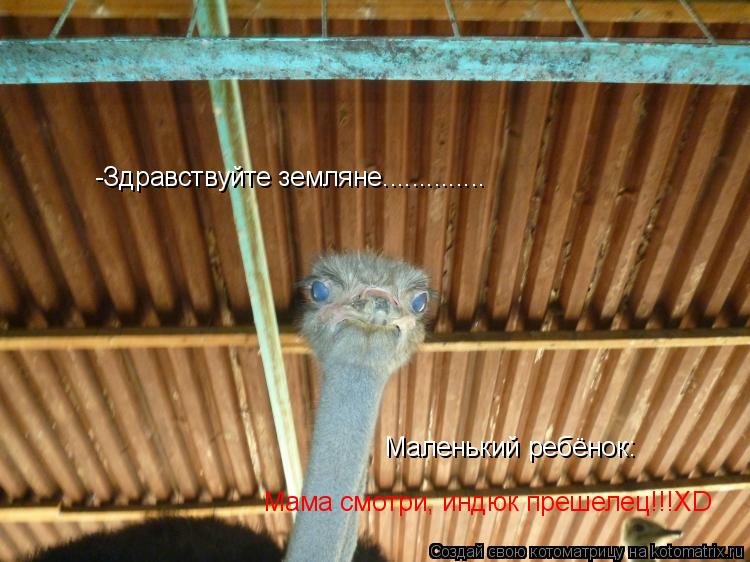 Котоматрица: -Здравствуйте земляне.............. Маленький ребёнок: Мама смотри, индюк прешелец!!!XD