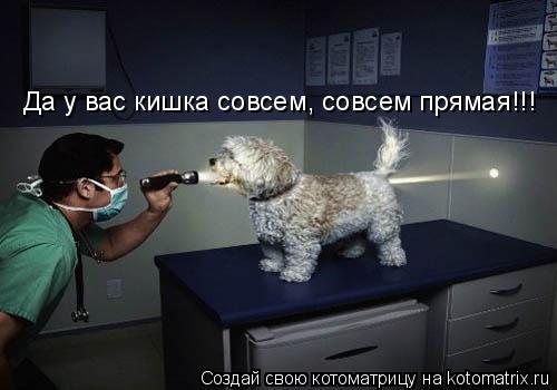 Котоматрица: Да у вас кишка совсем, совсем прямая!!!