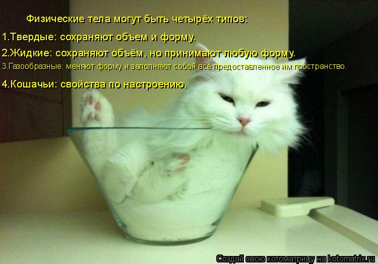 Котоматрица: Физические тела могут быть четырёх типов:  1.Твердые: сохраняют объем и форму.  2.Жидкие: сохраняют объём, но принимают любую форму.  3.Газообра