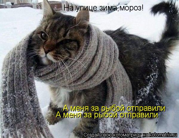 Котоматрица: На улице зима,мороз! А меня за рыбой отправили А меня за рыбой отправили