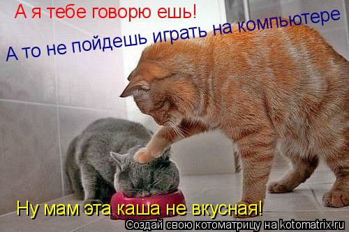 Котоматрица: Ну мам эта каша не вкусная! А я тебе говорю ешь!  А то не пойдешь играть на компьютере