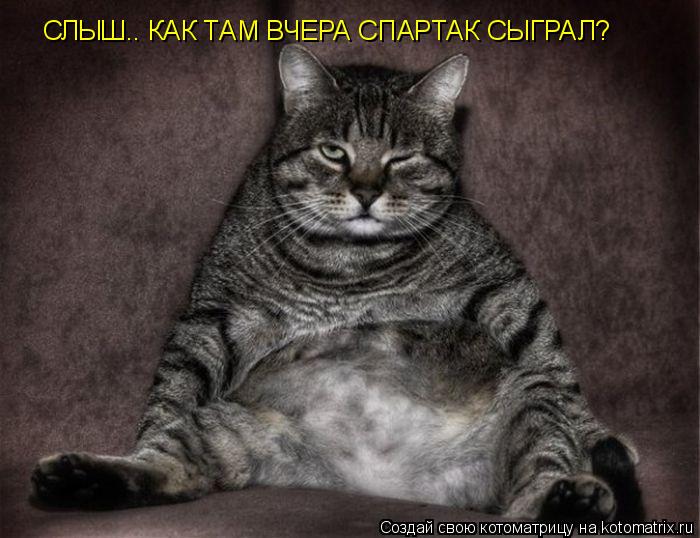 Котоматрица: СЛЫШ.. КАК ТАМ ВЧЕРА СПАРТАК СЫГРАЛ?