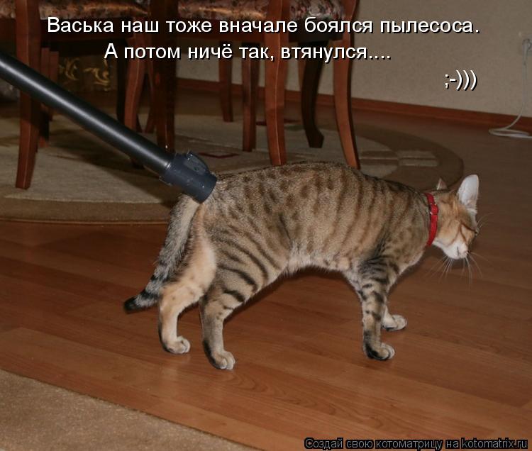 Котоматрица: Васька наш тоже вначале боялся пылесоса. А потом ничё так, втянулся....     ;-)))