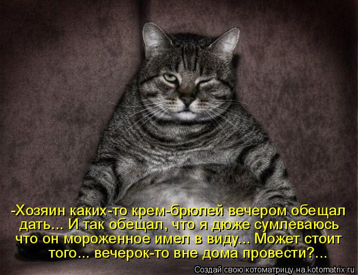 Котоматрица: -Хозяин каких-то крем-брюлей вечером обещал дать... И так обещал, что я дюже сумлеваюсь что он мороженное имел в виду... Может стоит того... вече