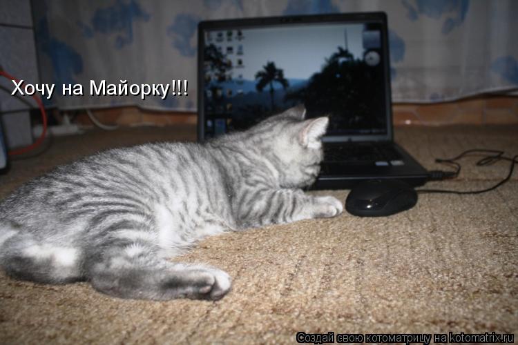 Котоматрица: Хочу на Майорку!!!