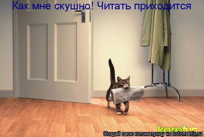 Котоматрица: Как мне скушно! Читать приходится