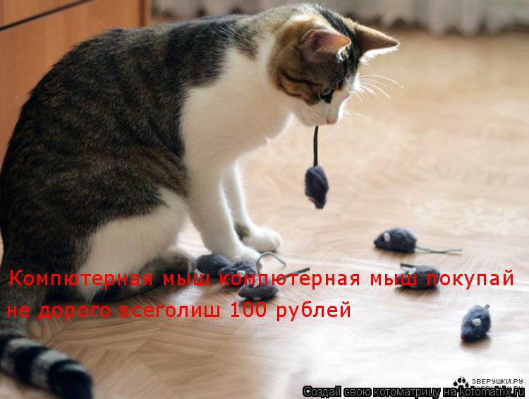 Котоматрица: Компютерная мыш компютерная мыш покупай  Компютерная мыш компютерная мыш покупай  не дорого всеголиш 100 рублей