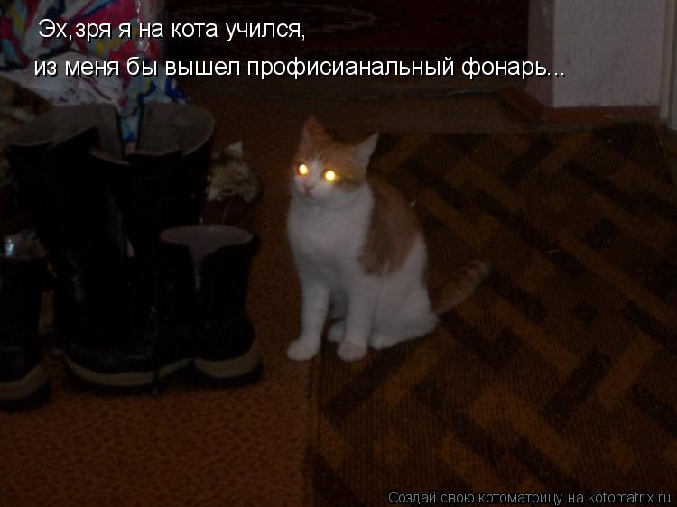 Котоматрица: Эх,зря я на кота учился, из меня бы вышел профисианальный фонарь...