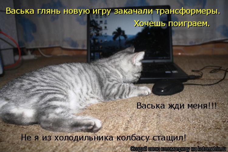 Котоматрица: Васька глянь новую игру закачали трансформеры. Хочешь поиграем. Не я из холодильника колбасу стащил! Васька жди меня!!!