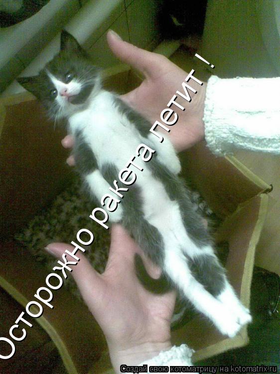 Котоматрица: Осторожно ракета летит !