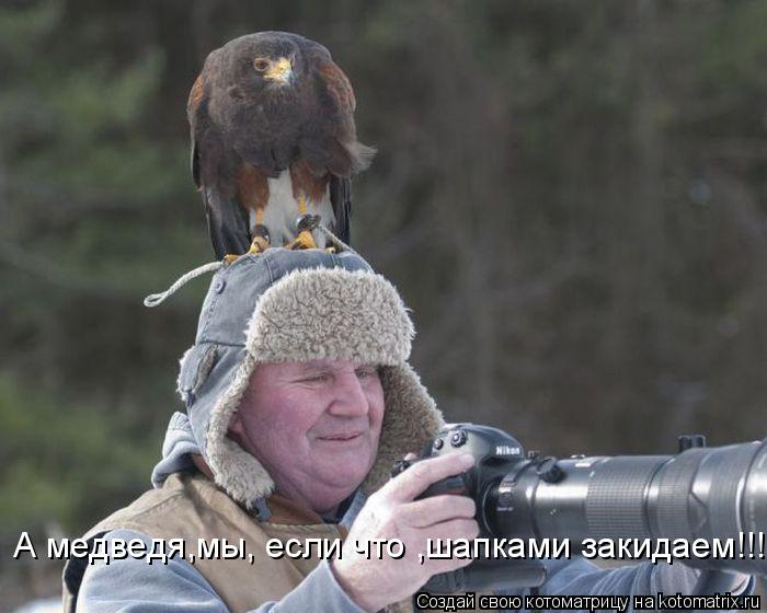 А медведя,мы, если что ,шапками закидаем!!!!!!!... Котоматрица: А медведя,мы, если что ,шапками закидаем!!!!!!!