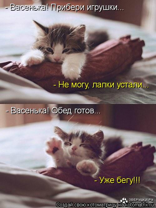 Котоматрица: - Васенька! Прибери игрушки...  - Васенька! Обед готов...  - Не могу, лапки устали...  - Уже бегу!!!