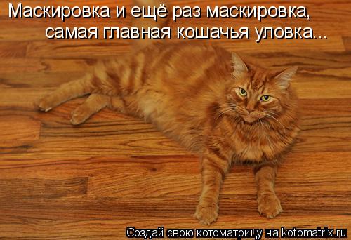Маскировка и ещё раз маскировка, самая главная кошачья уловка...... Котоматрица: Маскировка и ещё раз маскировка, самая главная кошачья уловка...