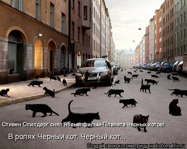 Стивен Спилдерг снял новый фильм-Планета черных котов! В ролях Черный кот, Черный кот...... Котоматрица: Стивен Спилдерг снял новый фильм-Планета черных котов! В ролях Черный кот, Черный кот...