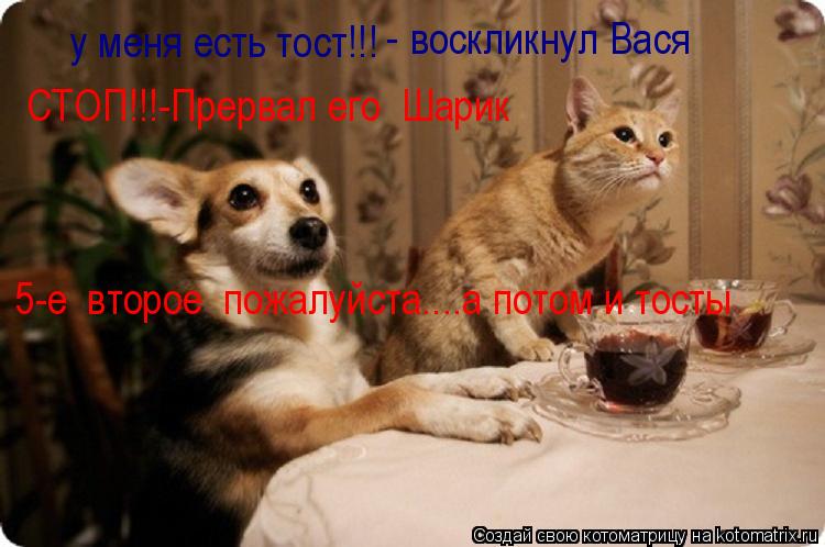 у меня есть тост!!! воскликнул Вася - СТОП!!!-Прервал его Шарик 5-е второе пожалуйста....а потом и... Котоматрица: у меня есть тост!!! воскликнул Вася - СТОП!!!-Прервал его Шарик 5-е второе пожалуйста....а потом и тосты