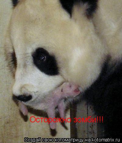 Осторожно зомби!!!... Котоматрица: Осторожно зомби!!!