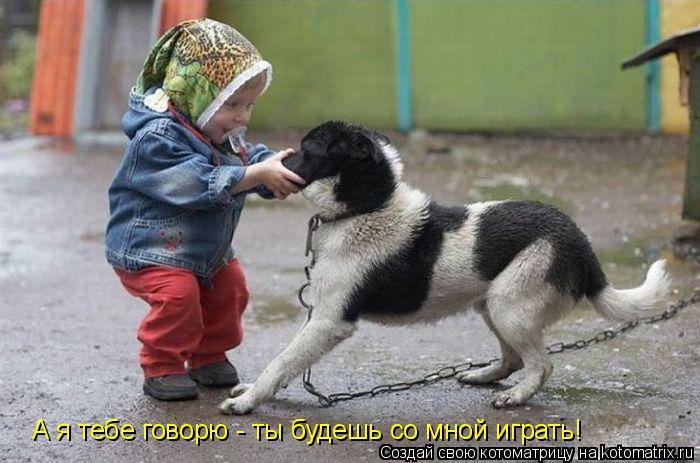 А я тебе говорю - ты будешь со мной играть!... Котоматрица: А я тебе говорю - ты будешь со мной играть!
