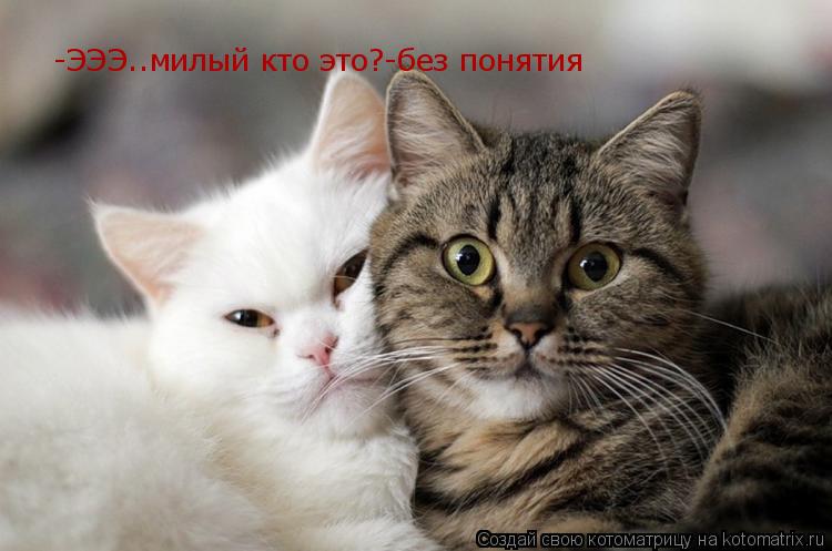 -ЭЭЭ..милый кто это?-без понятия... Котоматрица: -ЭЭЭ..милый кто это?-без понятия