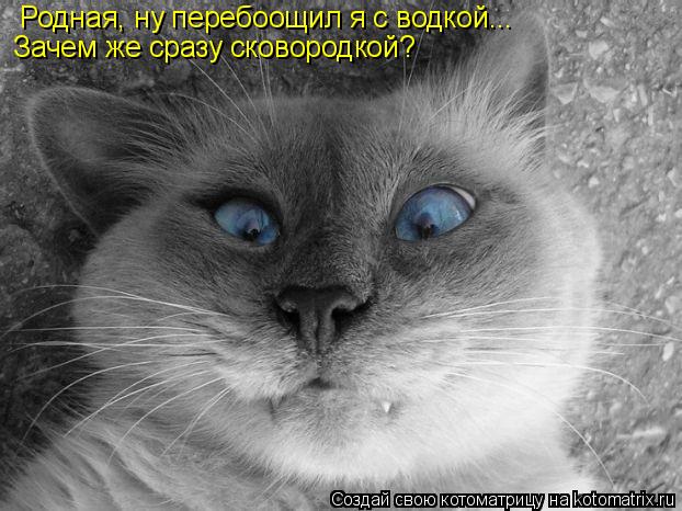Родная, ну перебоощил я с водкой... Зачем же сразу сковородкой?... Котоматрица: Родная, ну перебоощил я с водкой... Зачем же сразу сковородкой?