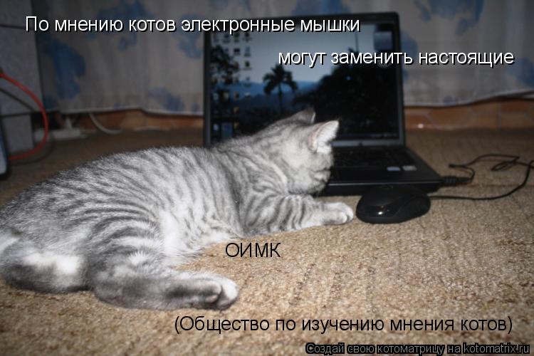 По мнению котов электронные мышки могут заменить настоящие ОИМК (Общество по изучению мнения котов)... Котоматрица: По мнению котов электронные мышки могут заменить настоящие ОИМК (Общество по изучению мнения котов)