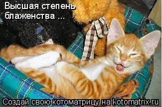 Высшая степень блаженства ...... Котоматрица: Высшая степень блаженства ...