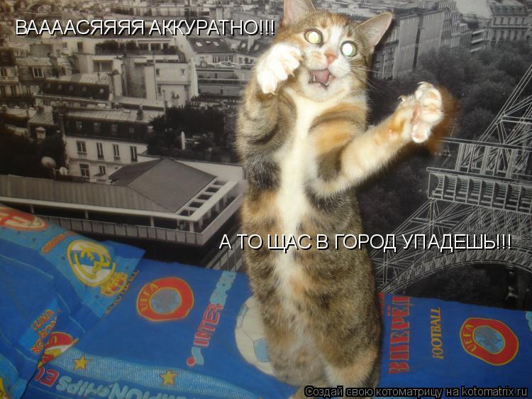 ВААААСЯЯЯЯ АККУРАТНО!!! А ТО ЩАС В ГОРОД УПАДЕШЬ!!!... Котоматрица: ВААААСЯЯЯЯ АККУРАТНО!!! А ТО ЩАС В ГОРОД УПАДЕШЬ!!!